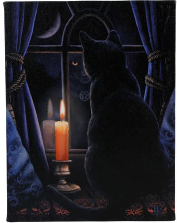 Black Cat Canvas Print - Lighten Up Shop