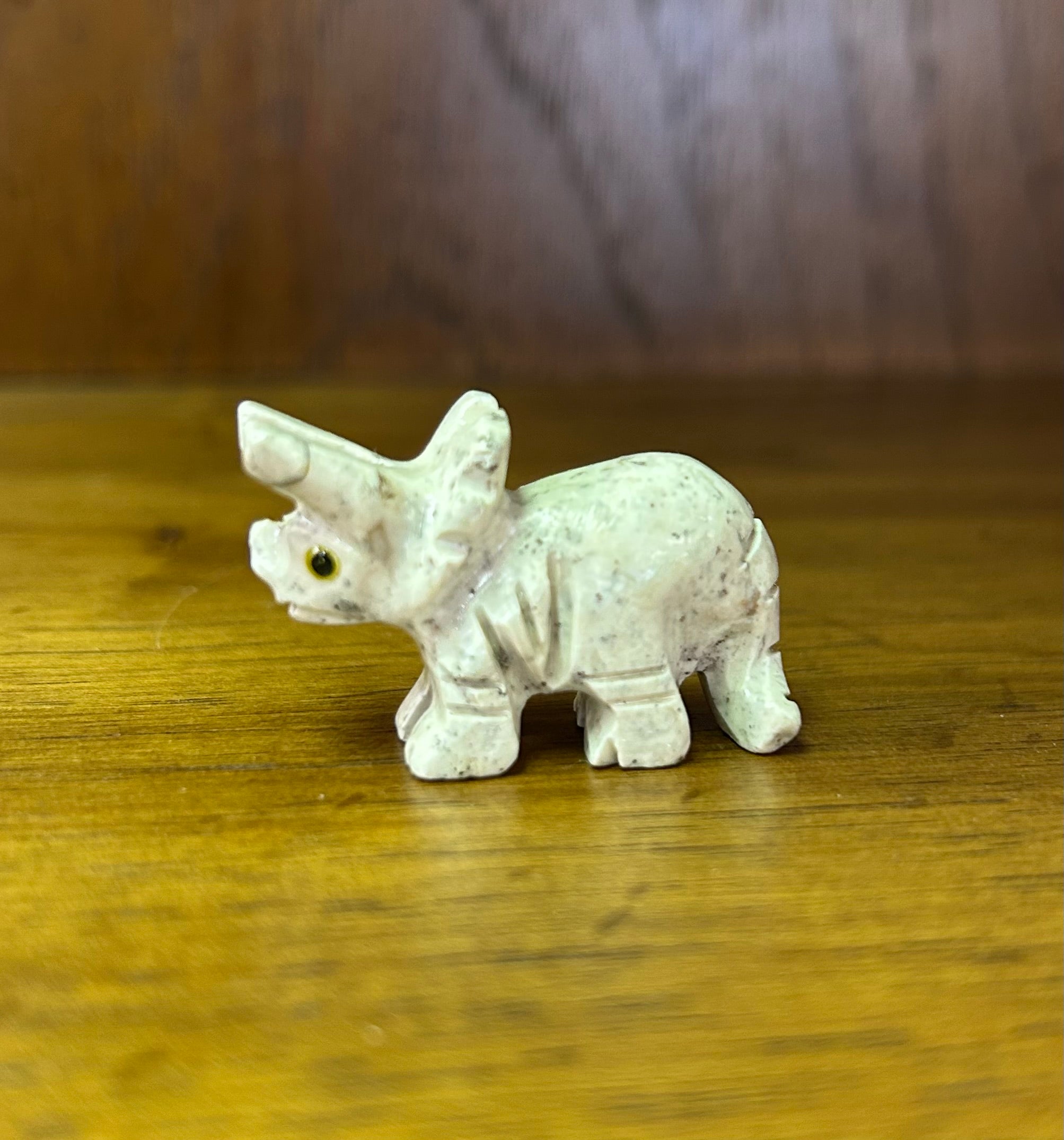 Dolomite Prehistoric Animal Stones 1.25" - Lighten Up Shop