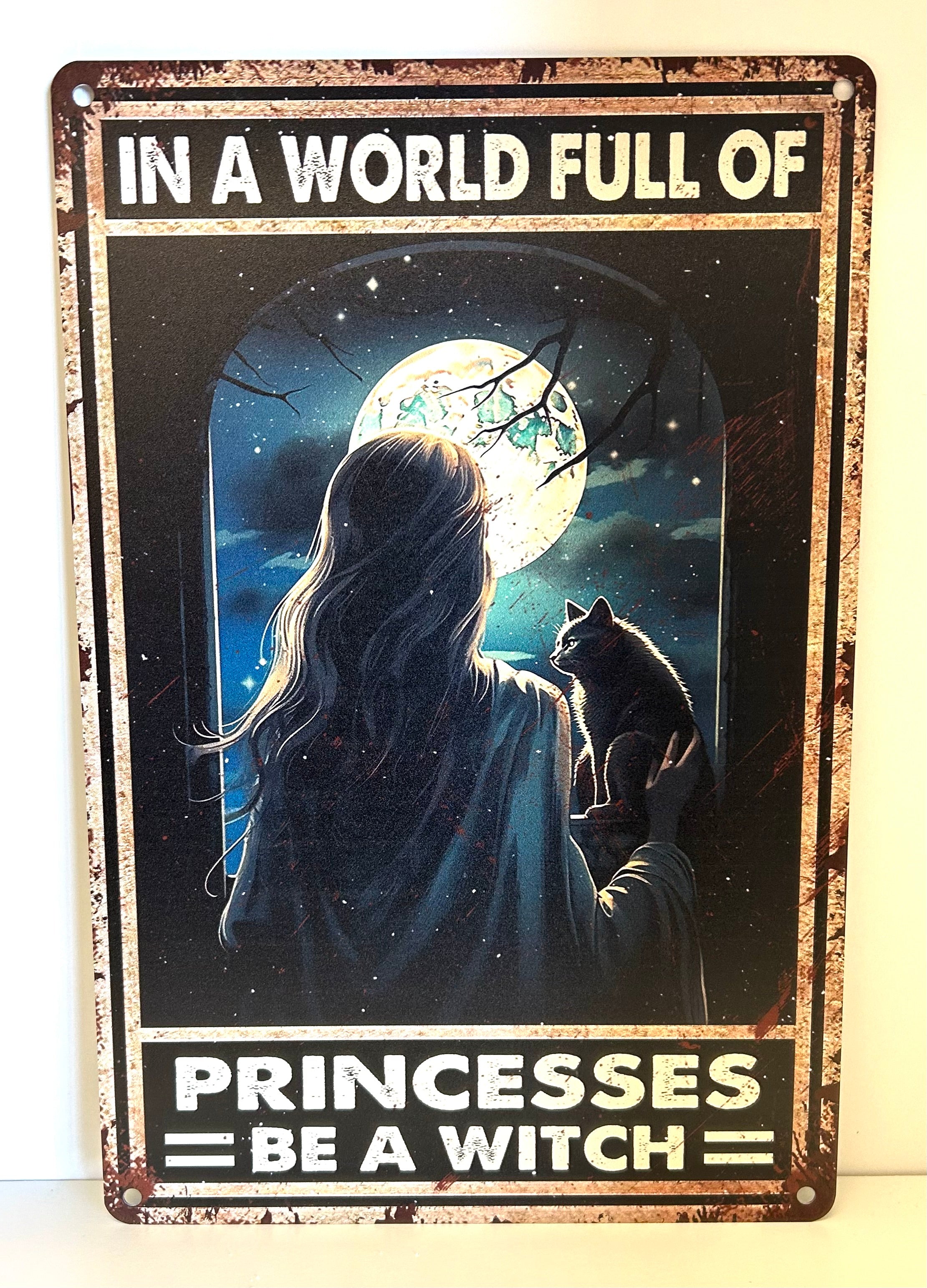 Metal Wall Plaque In A World Full Of Princesses