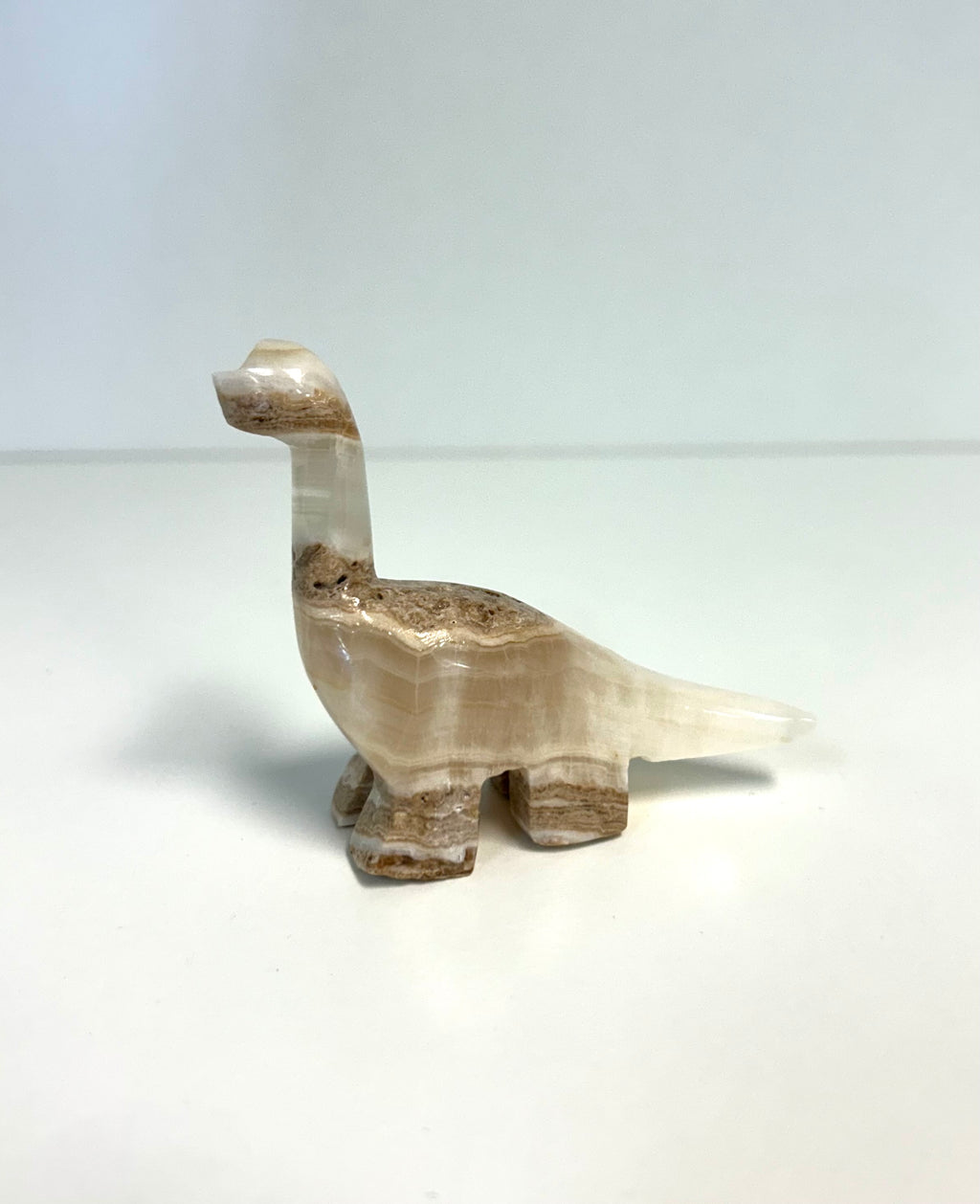 Onyx Dino - Lighten Up Shop