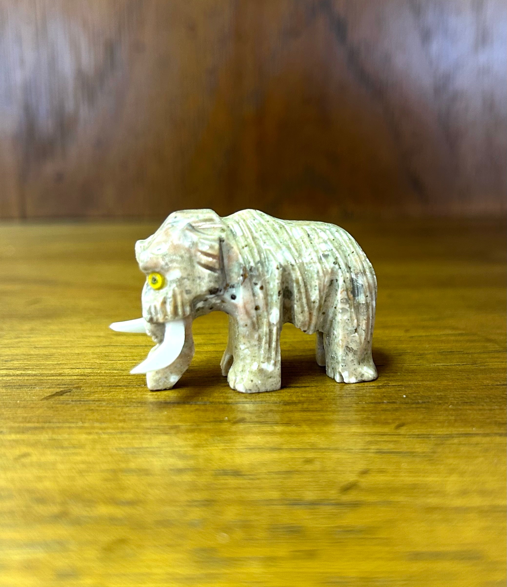 Dolomite Prehistoric Animal Stones 1.25" - Lighten Up Shop