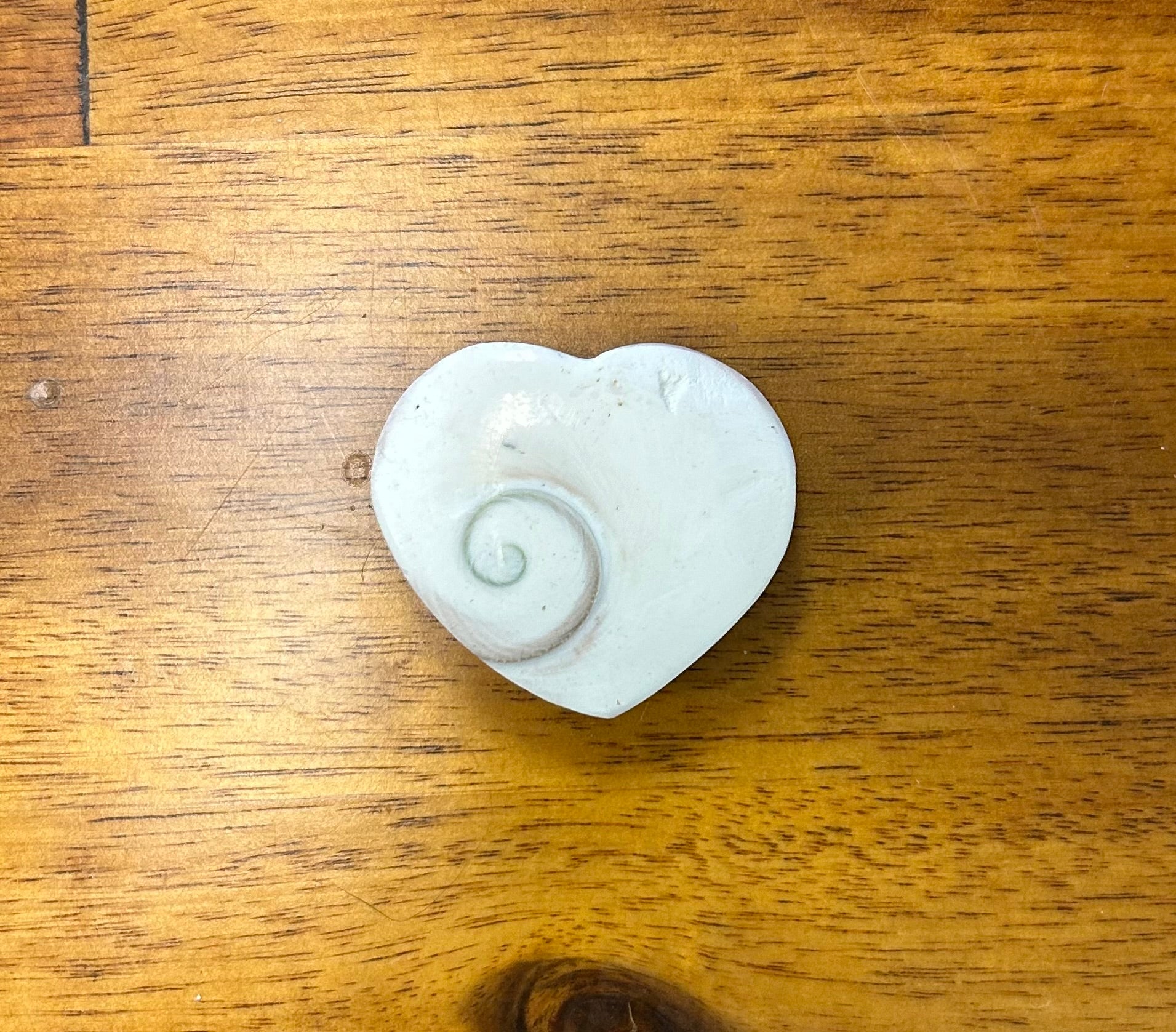 Shell Heart