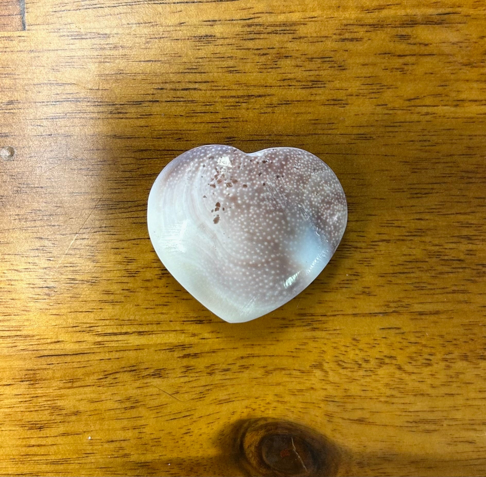 Shell Heart