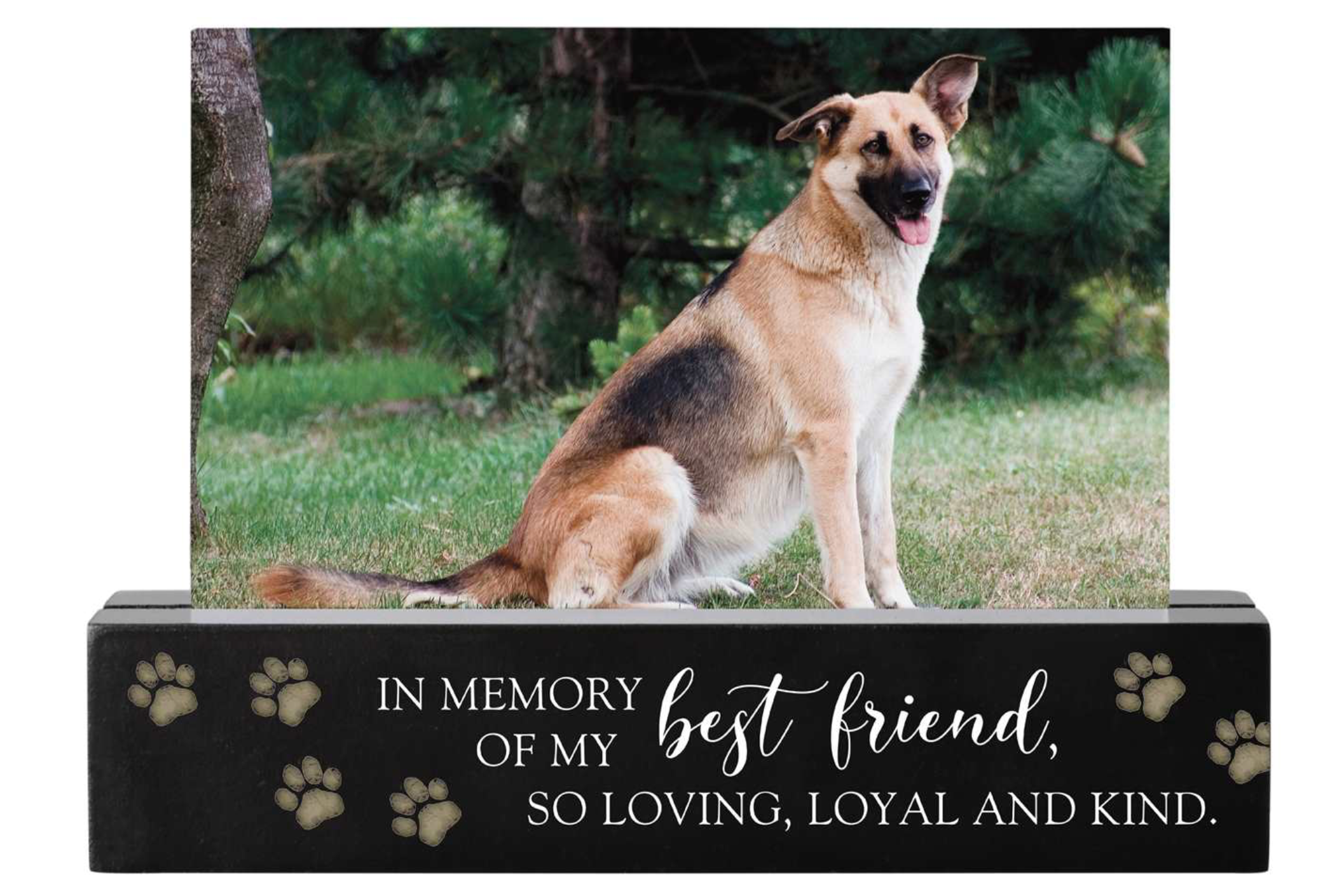 In Memory of My Best Friend Pet Photo Bar