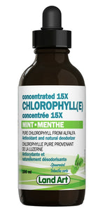 Concentrated 15x Chlorophyll - Spearmint - Lighten Up Shop