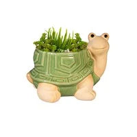 Ceramic Turtle Planter