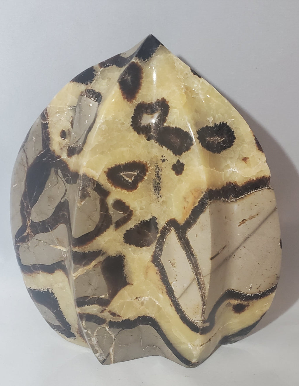 Septarian Large - Lighten Up Shop