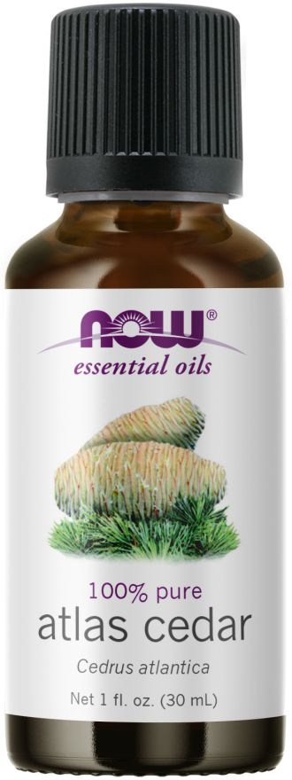 NOW Atlas Cedar Essential Oil 30ml - Lighten Up Shop