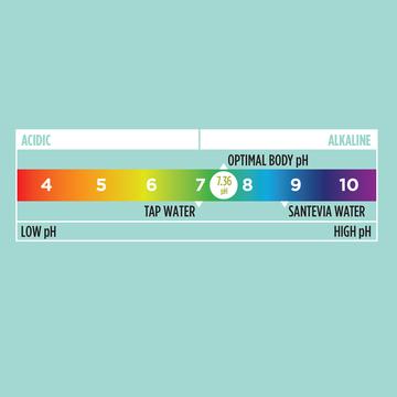 Santevia Water pH Test Kit - Lighten Up Shop