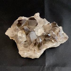 Smoky Quartz Cluster $50 - Lighten Up Shop