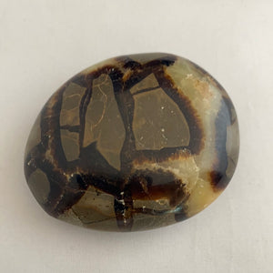 Septarian Palmstone X-Large - Lighten Up Shop