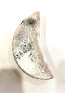 Coral Fossil Moon Dish - Lighten Up Shop