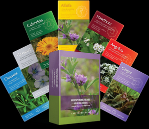 Whispering Herbs Healing Cards - Lighten Up Shop