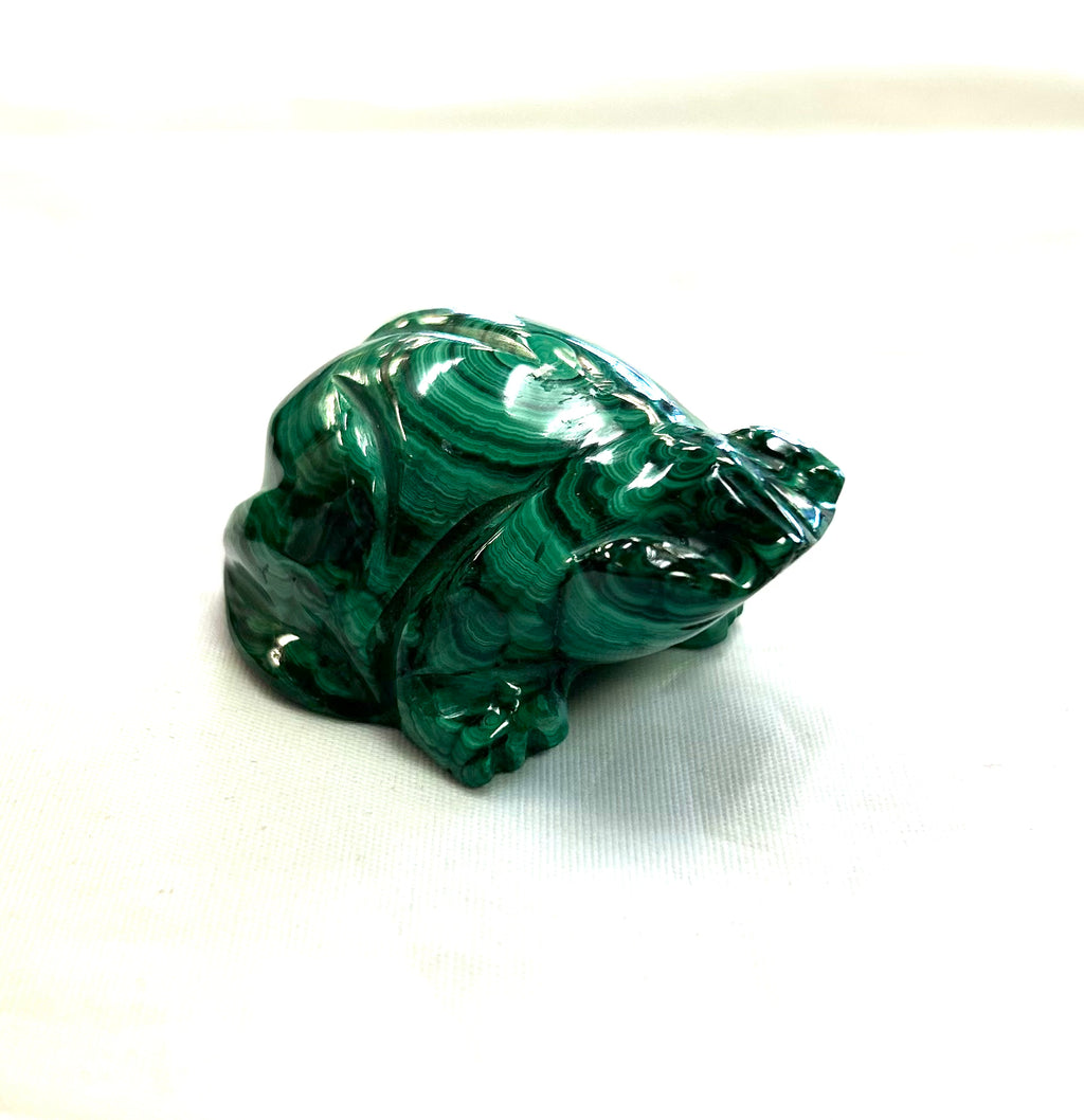 Malachite Frog - Lighten Up Shop