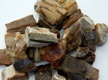 Petrified Wood Loose Raw - Lighten Up Shop