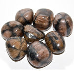 Chiastolite Loose Tumbled - Lighten Up Shop